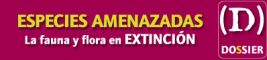 Dossier 53